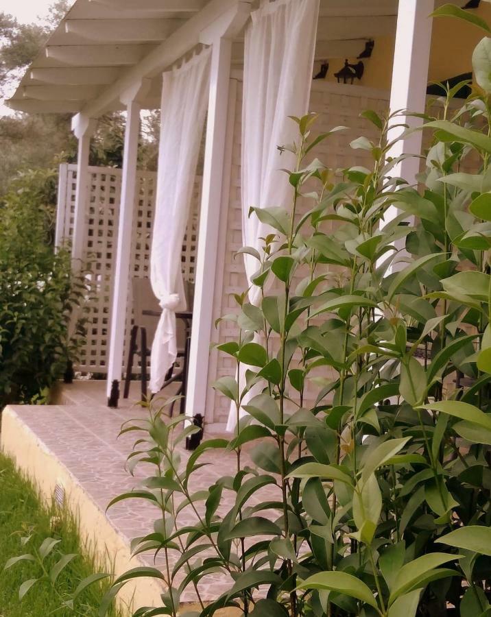 Villa Ladina Lygia (Lefkada) Exterior foto